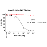Kras (G12C)/cRAF/CYPA/Inhibitor Assay Kit